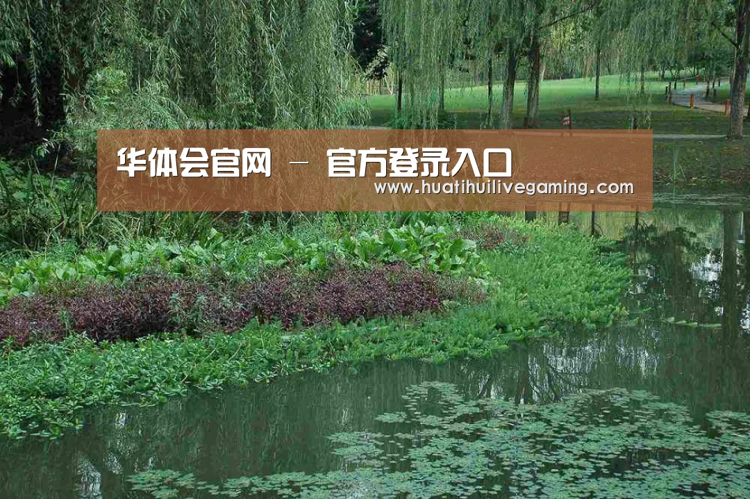 案例展示一(图1)