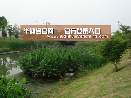 案例展示四(图1)