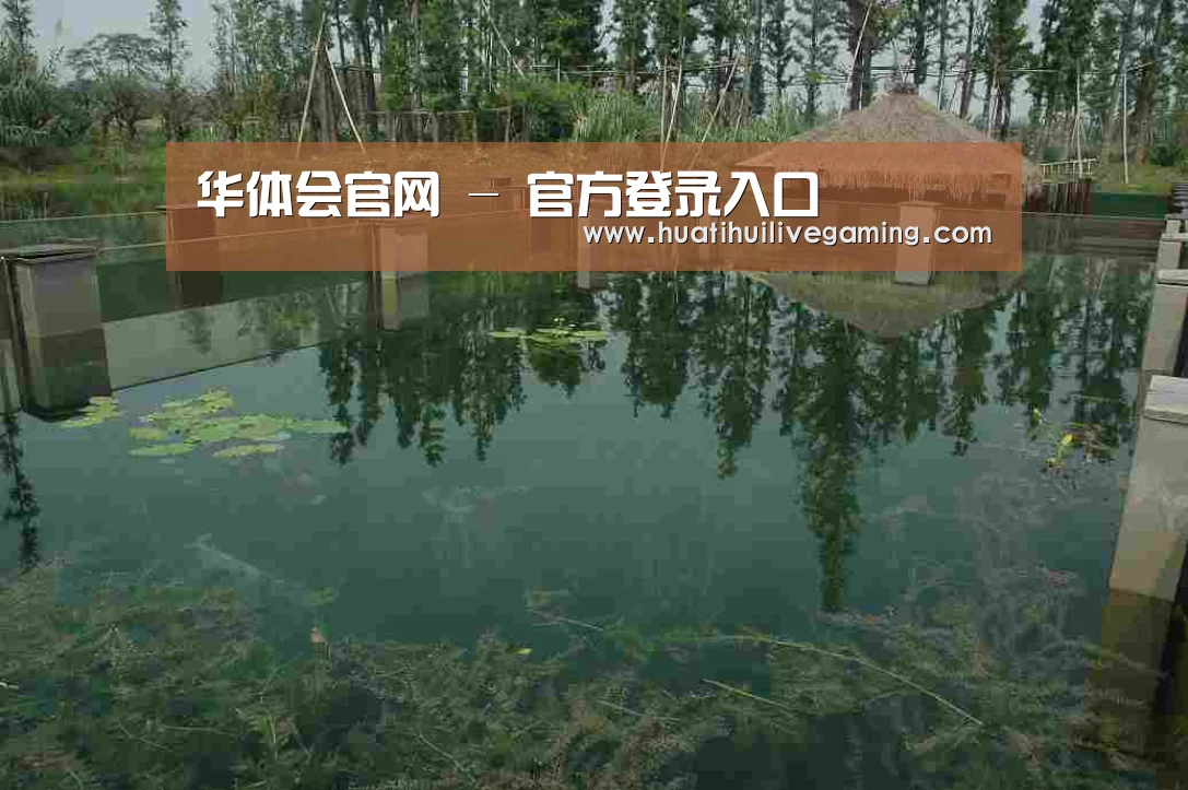 案例展示二(图1)