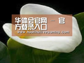 产品名称七