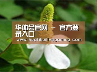 产品名称三