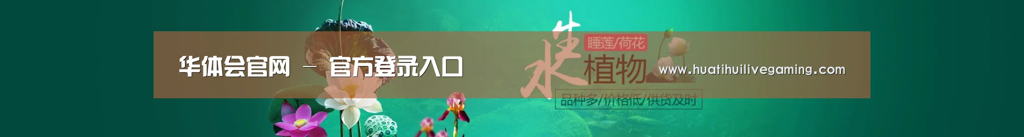 鲜花水草花卉网站模板