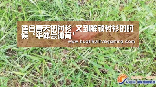 华体会娱乐