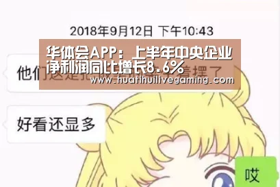华体会APP:上半年中央企业净利润同比增长8.6%(图2) 华体会赛事