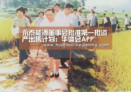 永泰能源董事会批准第一批资产出售计划:华体会APP(图4) 华体会赛事