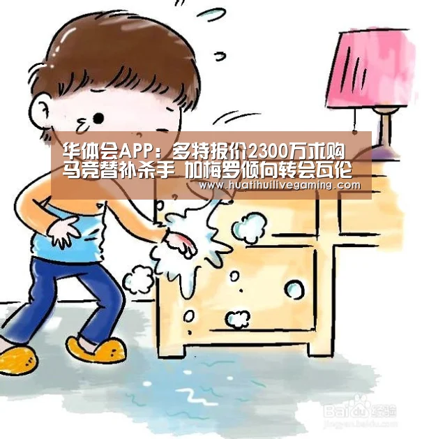 华体会APP:多特报价2300万求购马竞替补杀手 加梅罗倾向转会瓦伦西亚(图1) 华体会娱乐