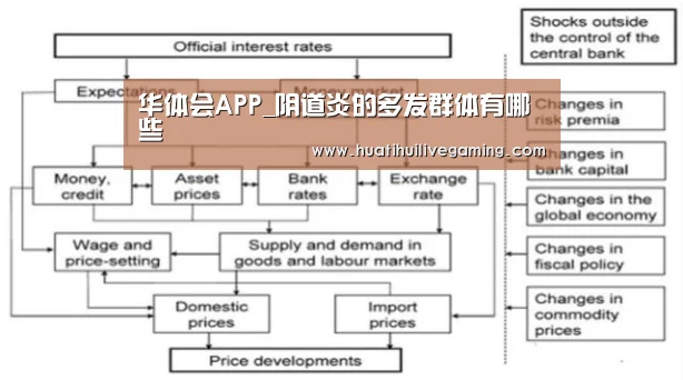 华体会APP_阴道炎的多发群体有哪些(图2) 华体会赛事