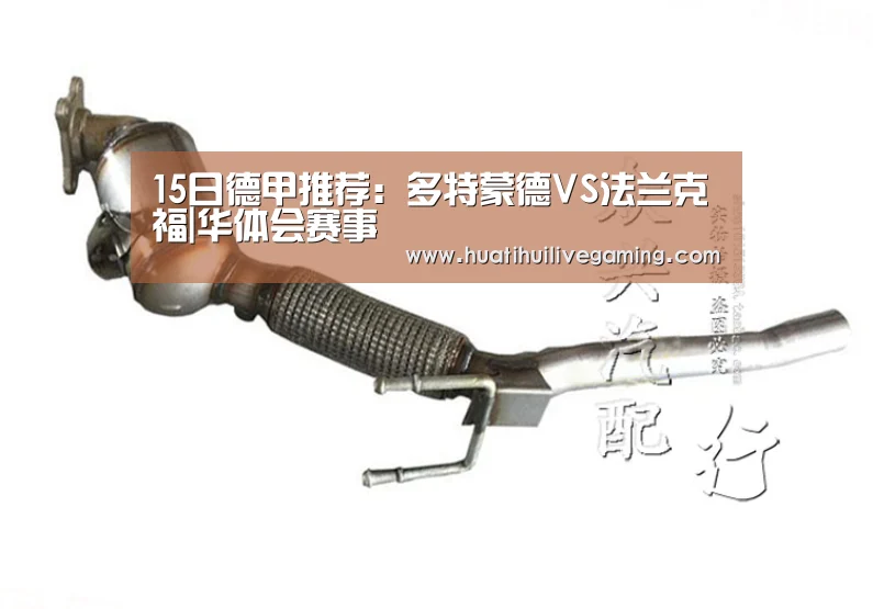 15日德甲推荐:多特蒙德VS法兰克福|华体会赛事(图2) 华体会体育
