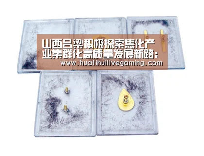 山西吕梁积极探索焦化产业集群化高质量发展新路:华体会APP(图1) 华体会APP