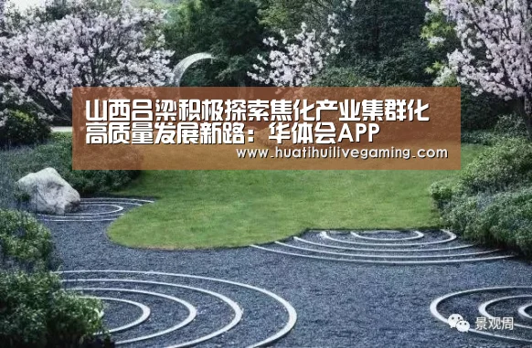 山西吕梁积极探索焦化产业集群化高质量发展新路:华体会APP(图3) 华体会娱乐