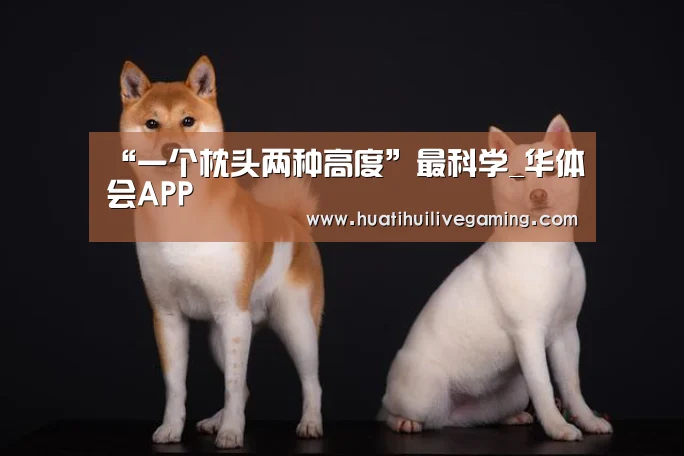 “一个枕头两种高度”最科学_华体会APP(图1) 华体会娱乐