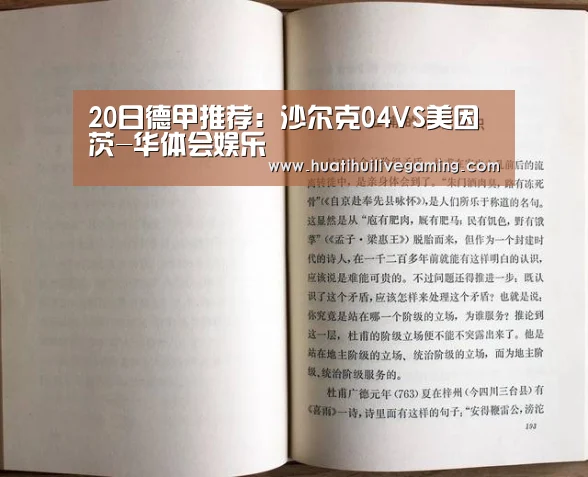 20日德甲推荐:沙尔克04VS美因茨-华体会娱乐(图3) 华体会娱乐