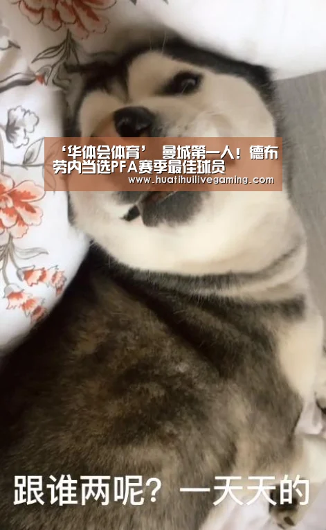 ‘华体会体育’
曼城第一人!德布劳内当选PFA赛季最佳球员(图2) 华体会赛事
